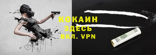 гидра Абаза