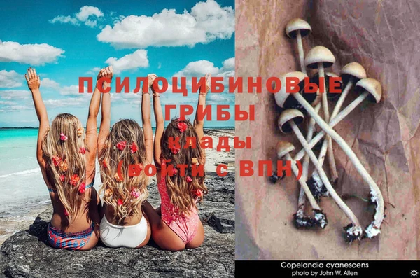 мет Абдулино