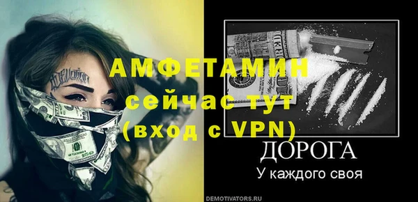 гидра Абаза