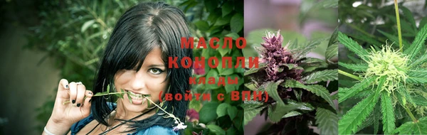 гидра Абаза